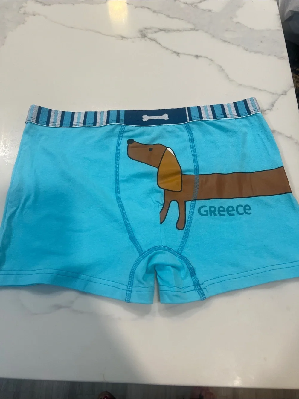 Blue Boys Boxer Briefs with Dachshund Graphic -